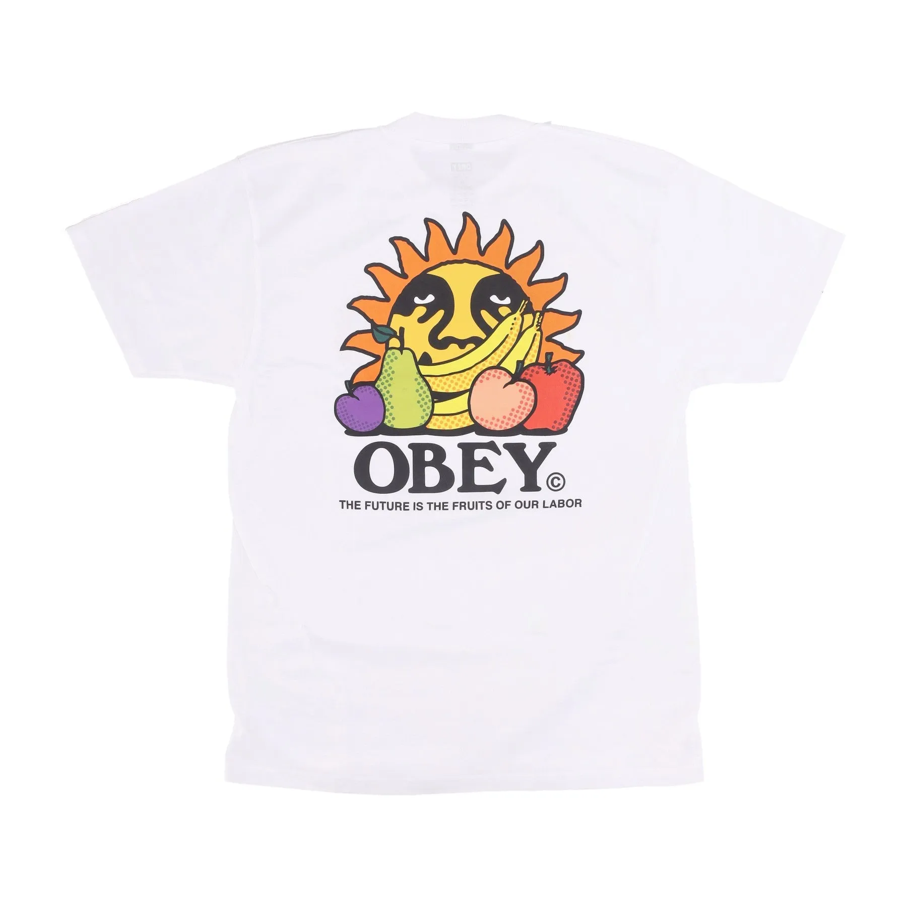 Maglietta Uomo The Future Is The Fruits Of Our Labor Tee White