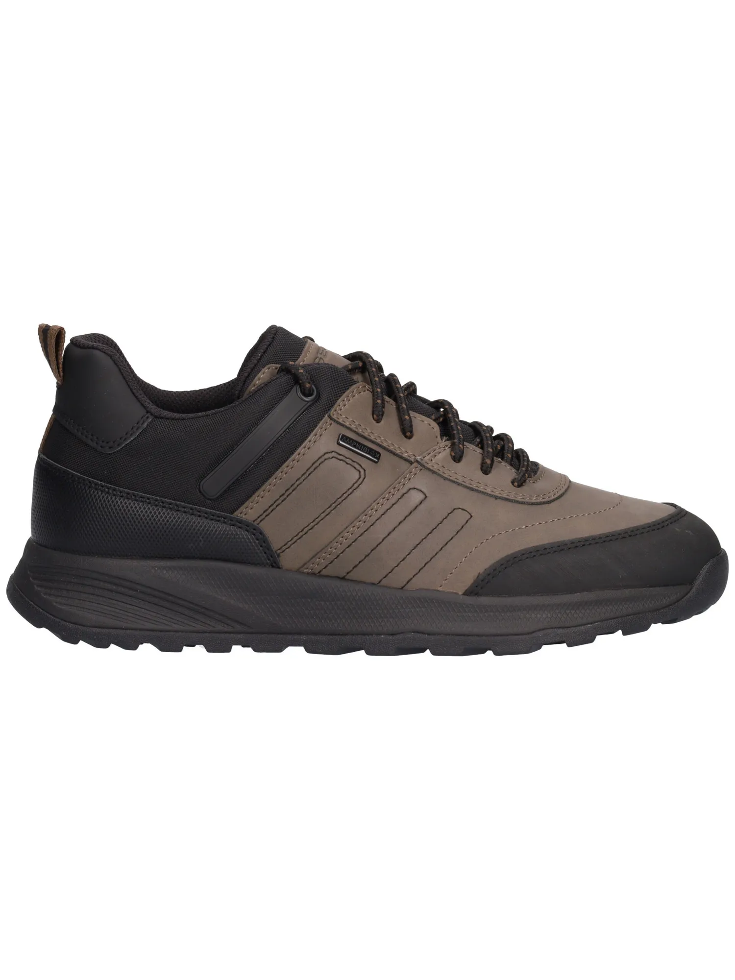 Scarpa casual Geox Terrestre da uomo verde